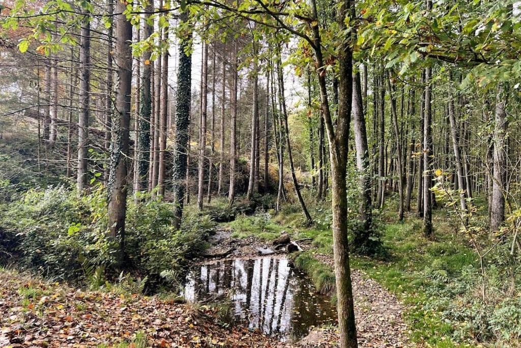 Forest Retreat- Serene 160M2 With Forest Views Wermelskirchen Eksteriør billede