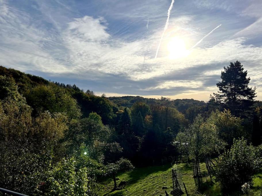 Forest Retreat- Serene 160M2 With Forest Views Wermelskirchen Eksteriør billede