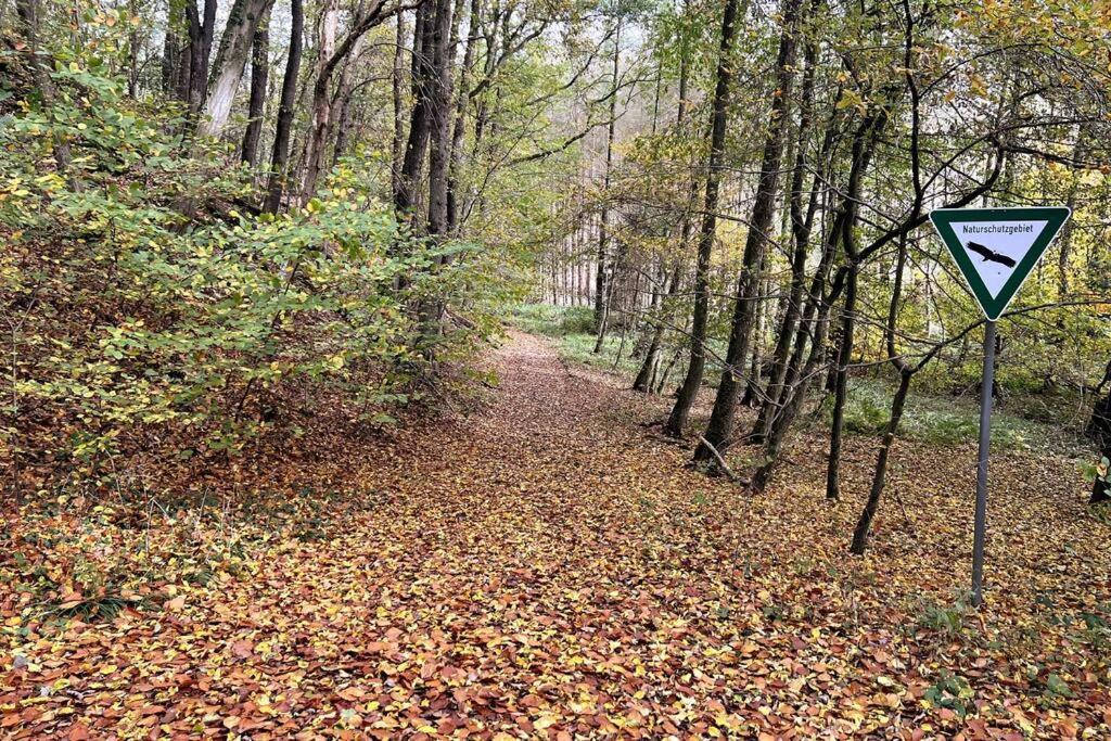 Forest Retreat- Serene 160M2 With Forest Views Wermelskirchen Eksteriør billede